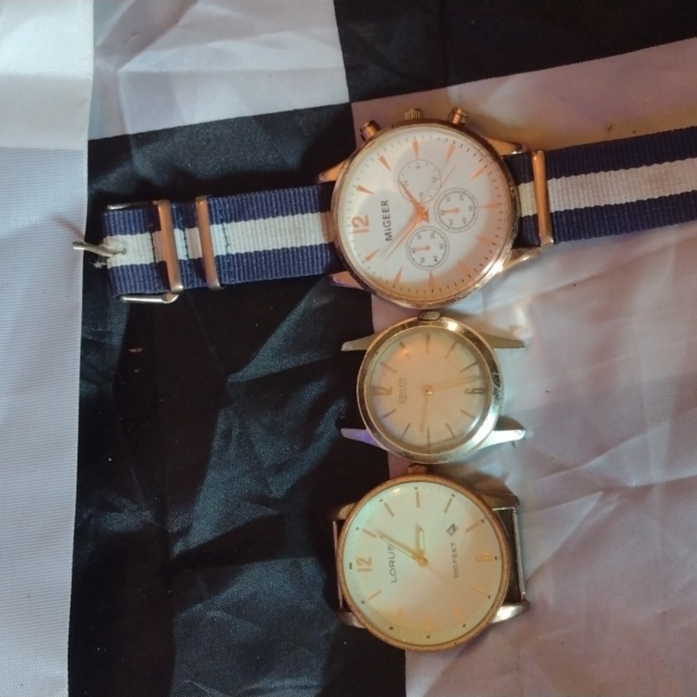 Lorus/Gruen/Migeer Men's Watches